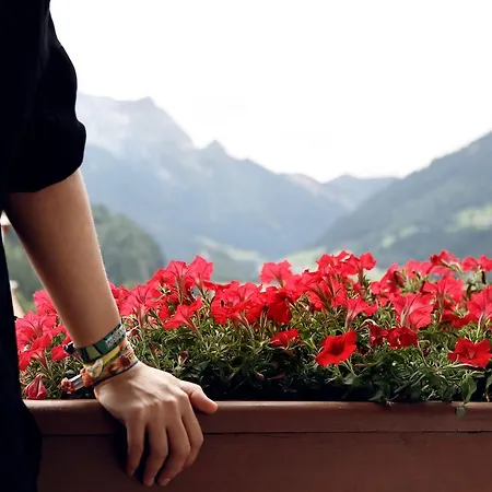 Hotell & Glueck Auf 3*